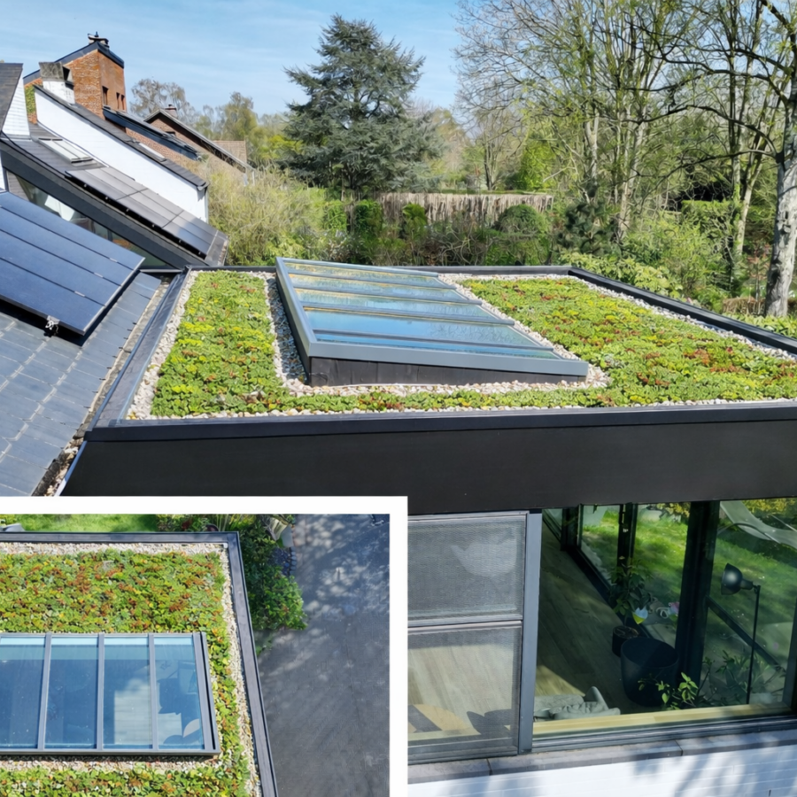 Groendak op moderne aanbouw met lichtstraat Moderne aanbouw met groendak in sedum op plat dak met lichtstraat en kiezelrand rondom